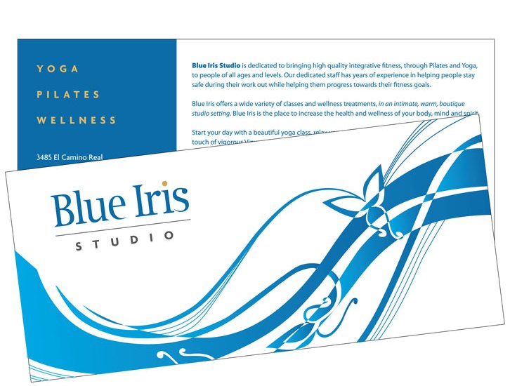 print-blueiris